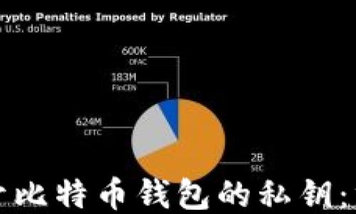
如何打开比特币钱包的私钥：终极指南