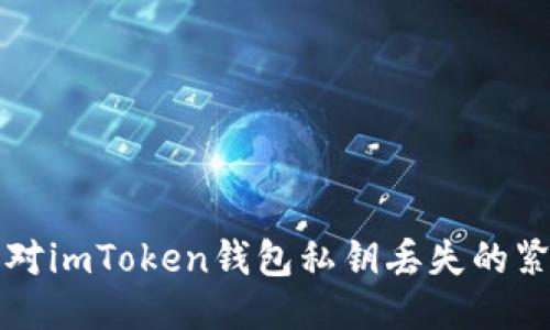 如何应对imToken钱包私钥丢失的紧急指南