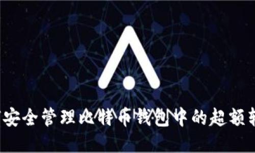 如何安全管理比特币钱包中的超额转账？