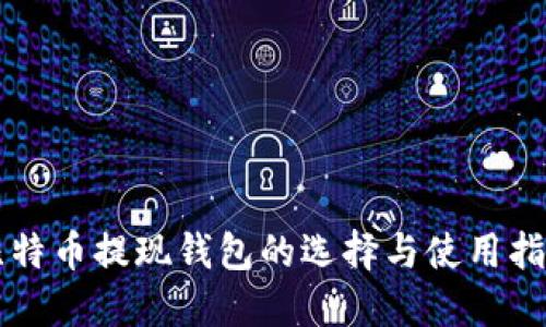 比特币提现钱包的选择与使用指南