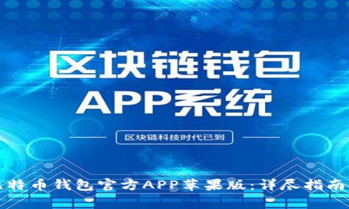 如何下载比特币钱包官方APP苹果版:详尽指南与注意事项