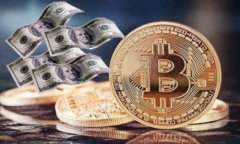 baotiimToken 钱包官网指南：全面了解数字资产管理