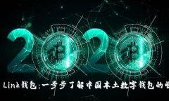 AP Link钱包：一步步了解中国本土数字钱包的崛起