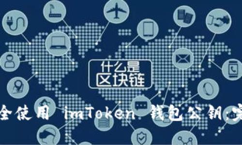 如何安全使用 imToken 钱包公钥：完整指南