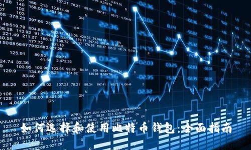 如何选择和使用比特币钱包:全面指南