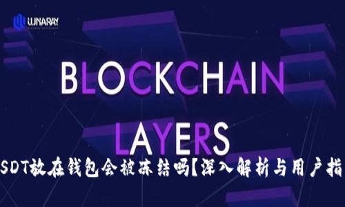 USDT放在钱包会被冻结吗？深入解析与用户指南