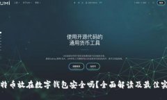 比特币放在数字钱包安全吗？全面解读及最佳实
