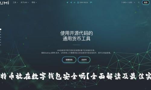 比特币放在数字钱包安全吗?全面解读及最佳实践
