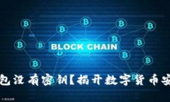 比特币钱包没有密钥？揭开数字货币安全的真相