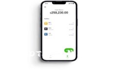 如何将USDT提到钱包：完整指南